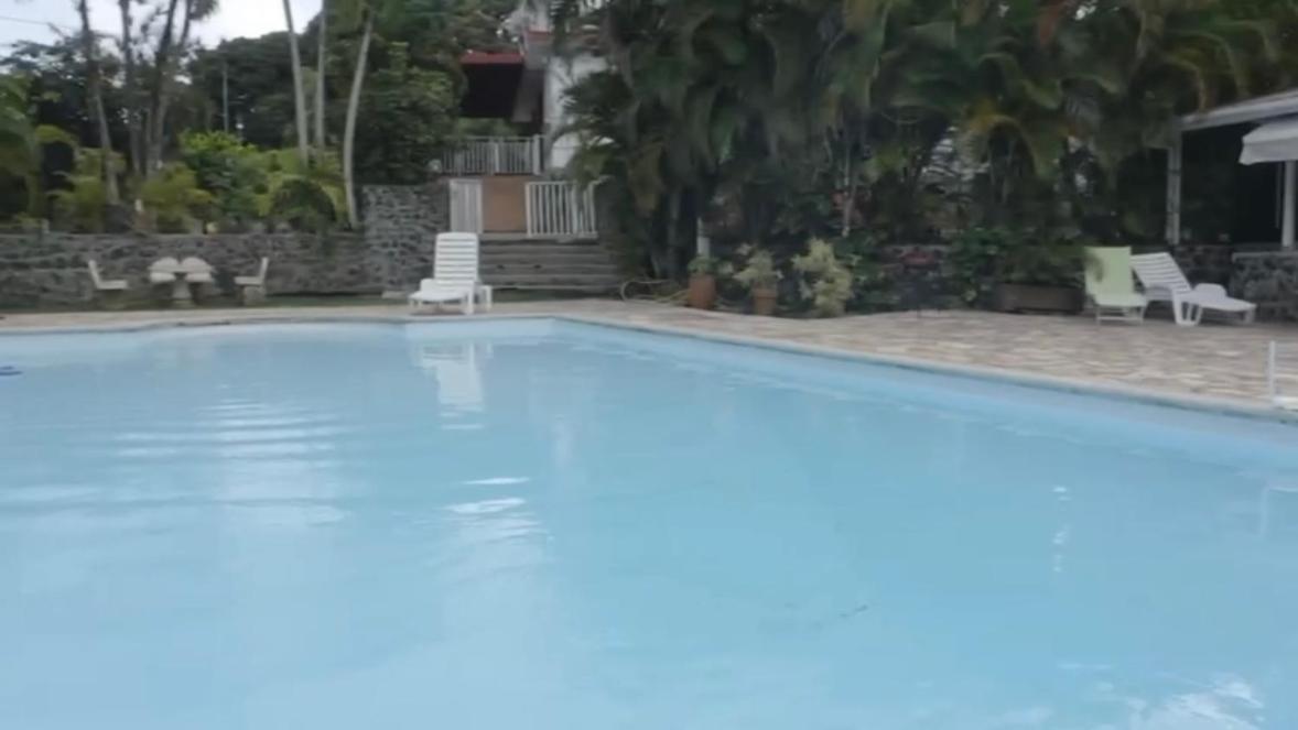 Villa Les Orchidees Et Villa Alpinia Petit-Bourg Zewnętrze zdjęcie